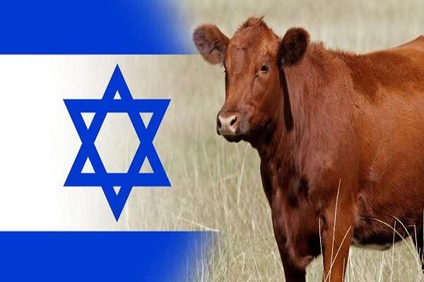 افسانه سرایی صهیونیست‌ها برای یهودی سازی قبله گاه نخست مسلمانان
