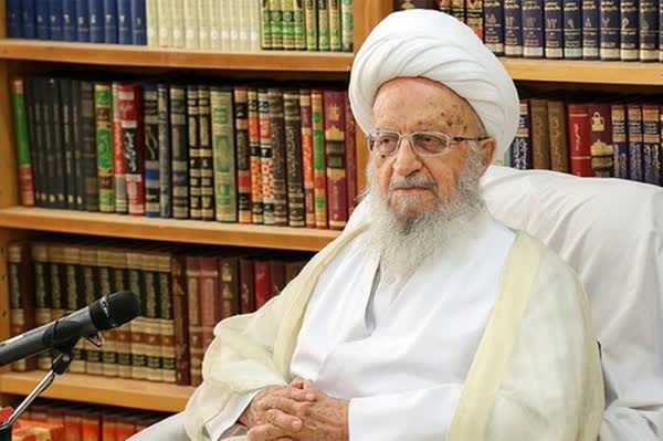نظر آیت‌الله العظمی مکارم شیرازی درباره همستر و نات کوین
