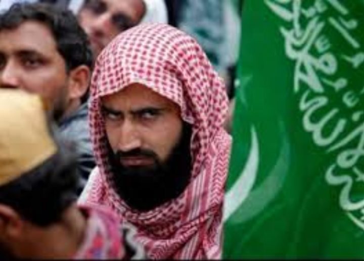 سلفی، فرقه یا مذهب؟