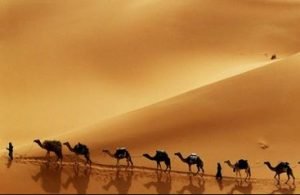 ردّ علما بر ابن تیمیه در مسأله شدّ رحال یا قصد سفر به جهت زیارت