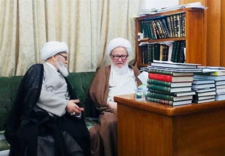 تاکید آیت الله فیاض به اتحاد شیعیان در افغانستان 