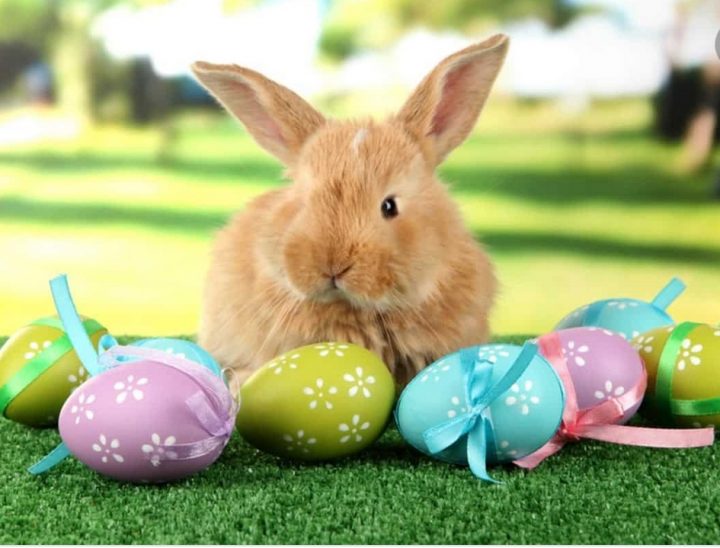 چرا تخم‌مرغ‌ها به نماد عید پاک تبدیل شدند؟
