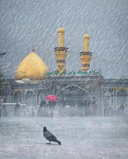 چرا در کربلا باران نیامد؟ (قسمت اول)