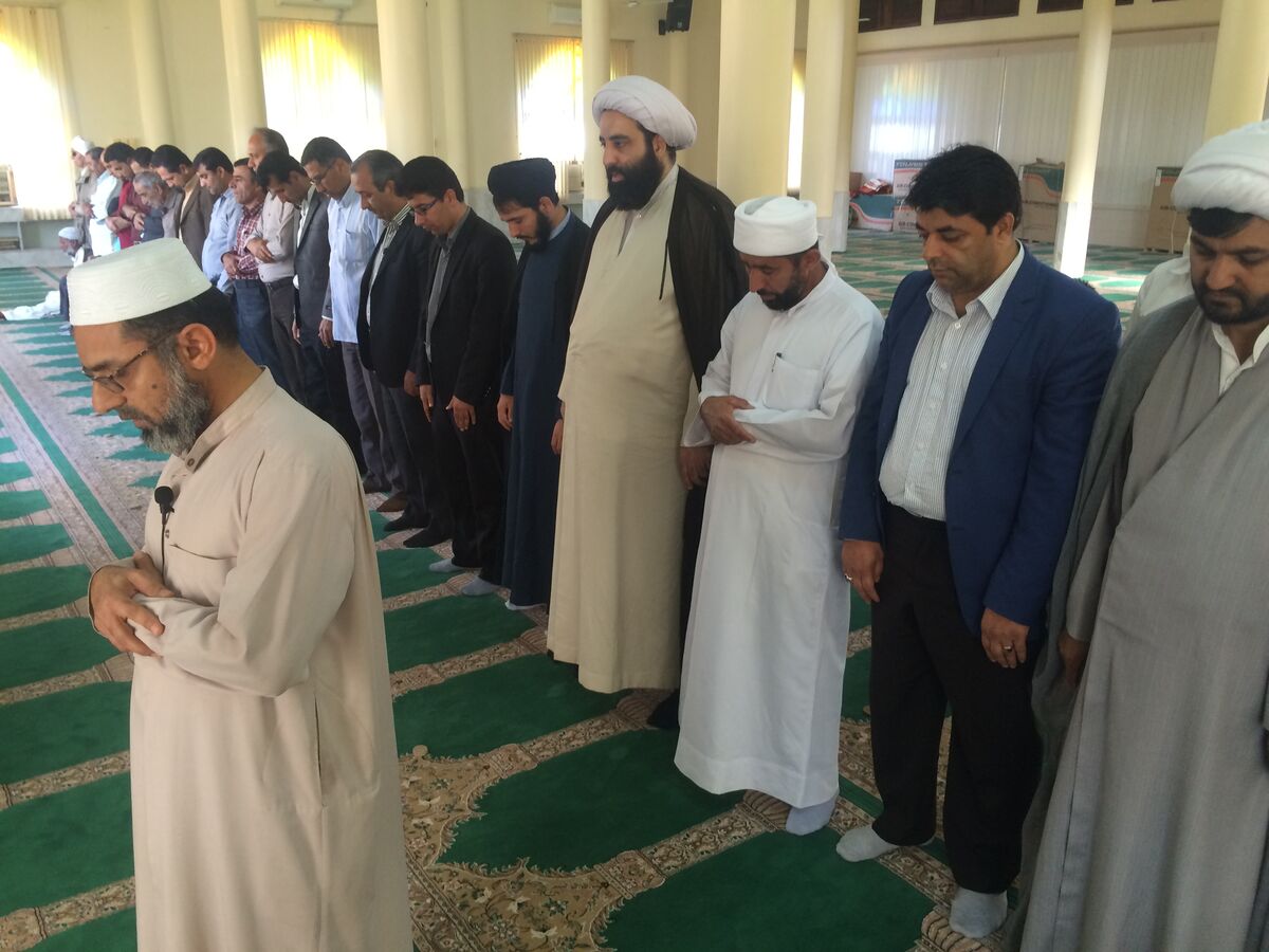 آیا همه اهل سنت نزد علمای شیعه، وهابی، ناصبی و نجس هستند؟