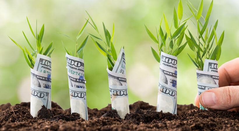 آرزوفروشی با فنگ شویی / واقعیت پشت ادعاها چیست؟